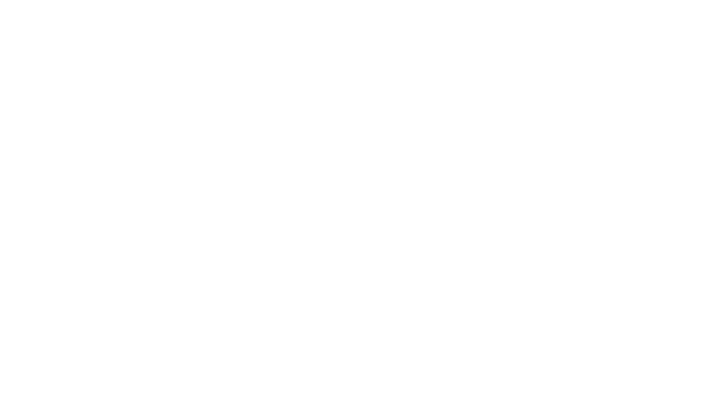 Elite Excavations Fissures Logo
